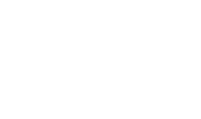 vandrie logo