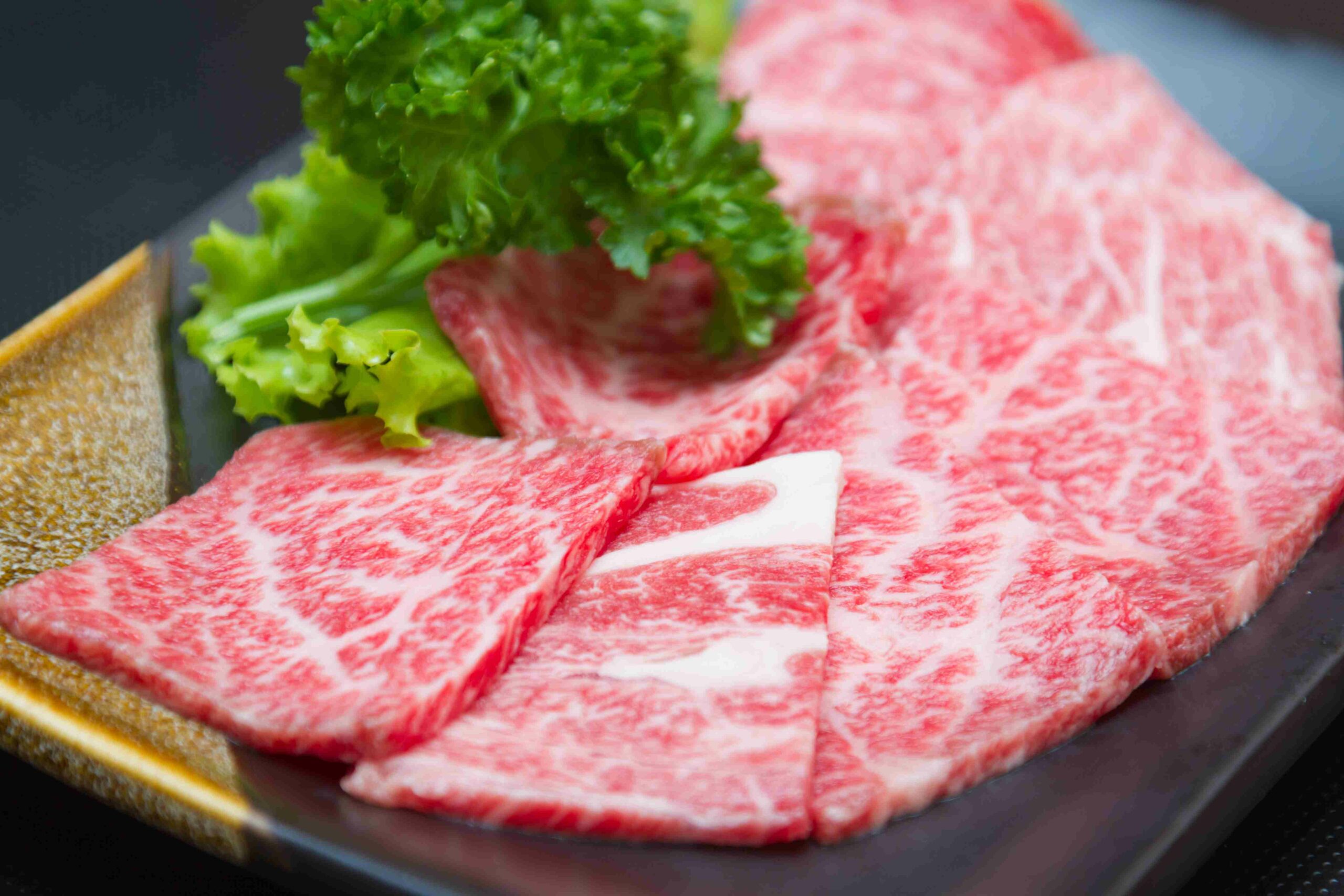 wagyu meat japan hida
