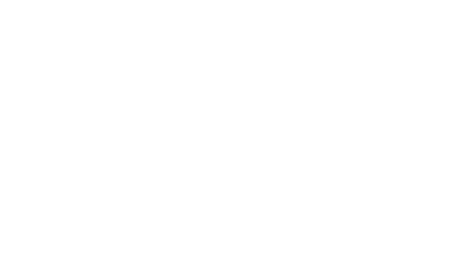 sva-international-meat