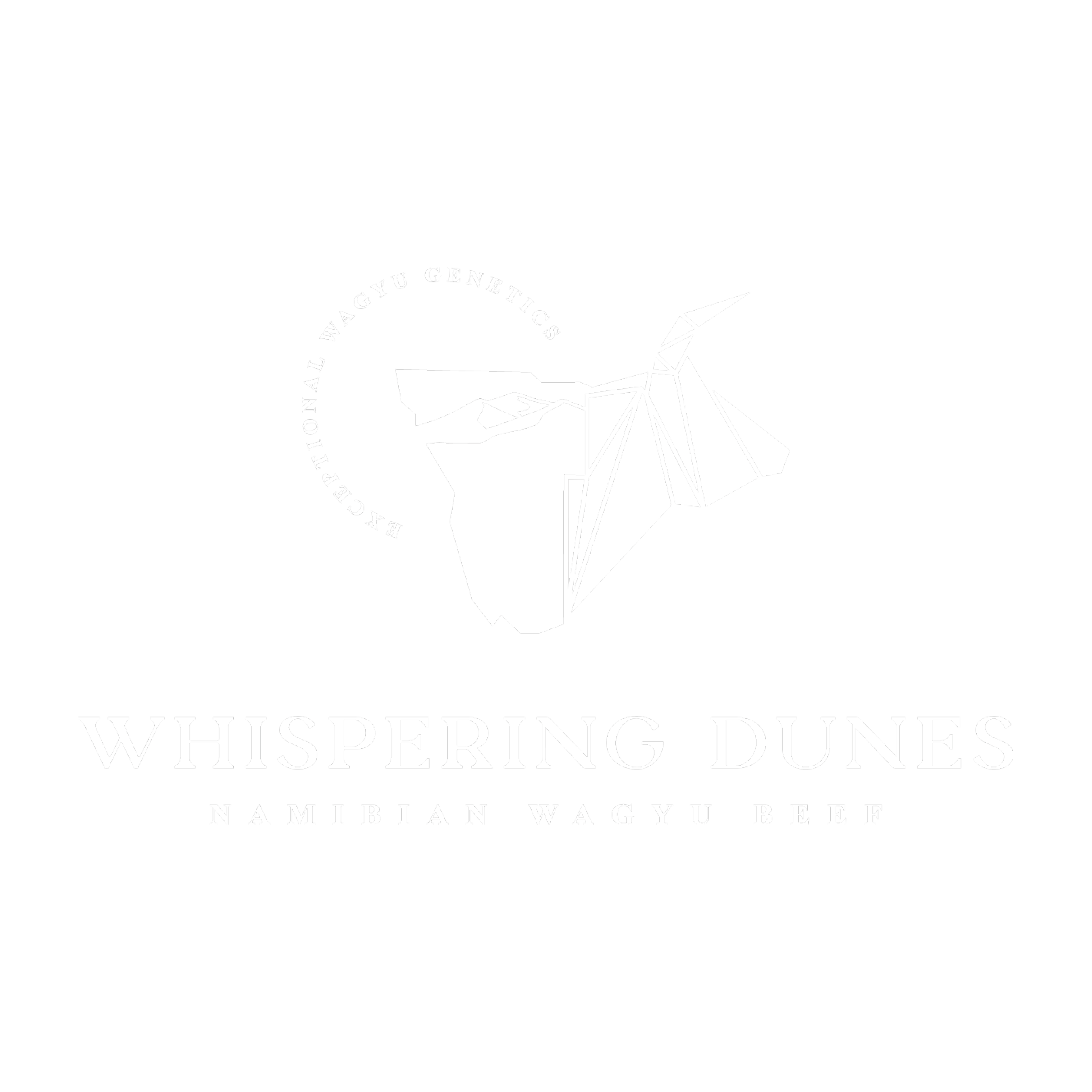 whispering-dunes-namibia
